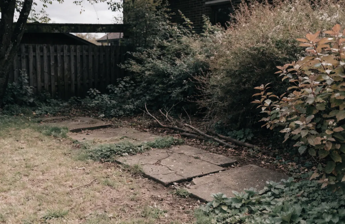 Garten vorher: verwahrloste Fläche